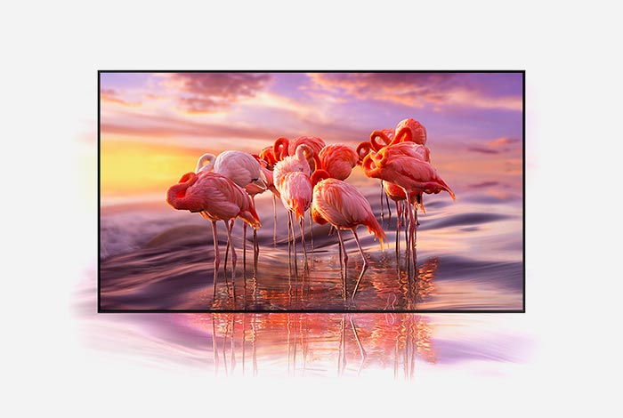 phpMSSQ72 700x470 COLOR NEW IMG