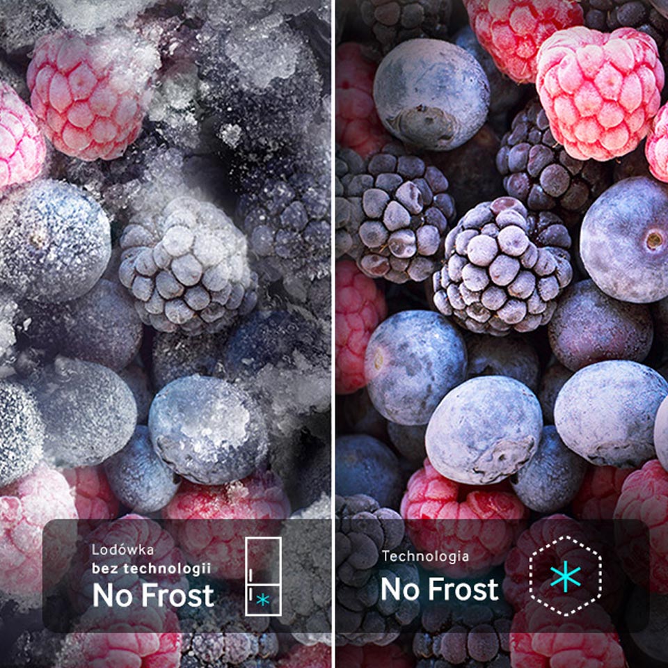 no-frost-new
