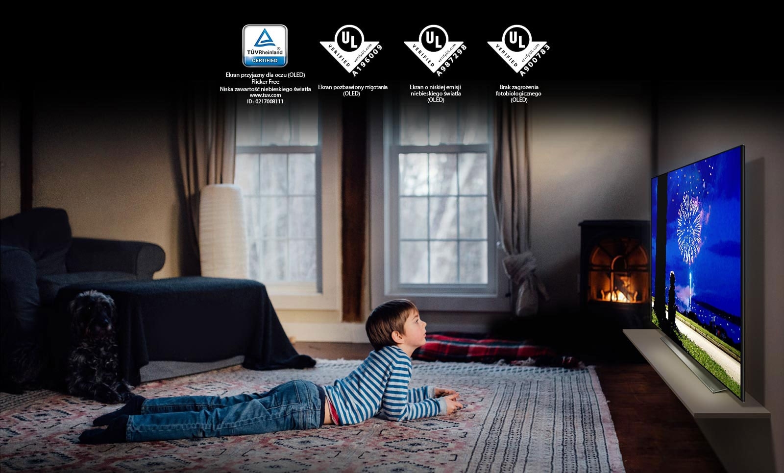 To jest karta opisująca certyfikat „Eye Comfort Display”. To jest scena przedstawiająca chłopca oglądającego telewizję leżąc na brzuchu. Cztery logo obok certyfikatu „Eye Comfort Display”.