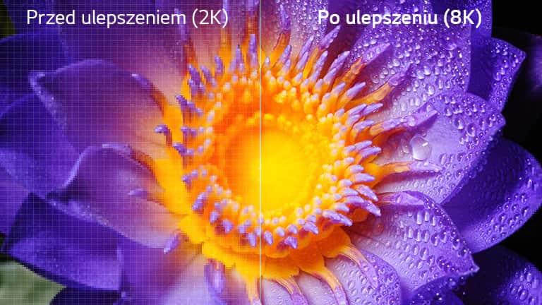 Obraz przedstawiający kwiat w oryginalnej rozdzielczości 2K po lewej i obraz o rozdzielczości podwyższonej do 8K po prawej.