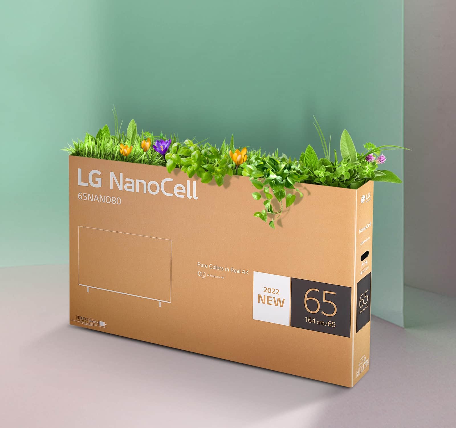 Nadające się do recyklingu opakowanie telewizora LG NanoCell z kwiatami i innymi roślinami wystającymi na górze.