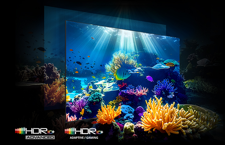 Podwodna scena z wyraźnymi detalami i wysokim kontrastem dzięki technologii Micro RGB HDR Pro.