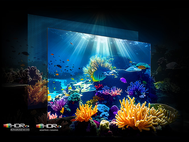 Podwodna scena z wyraźnymi detalami i wysokim kontrastem dzięki technologii Micro RGB HDR Pro.